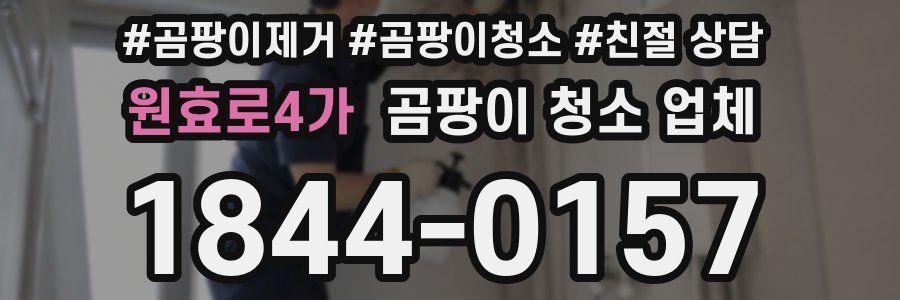 원효로4가 곰팡이 청소 업체