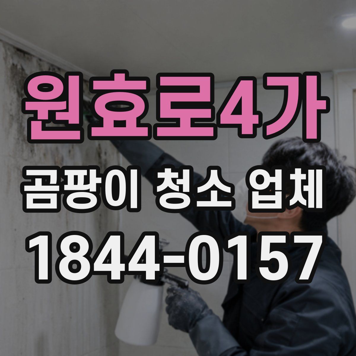 원효로4가 곰팡이 청소 업체