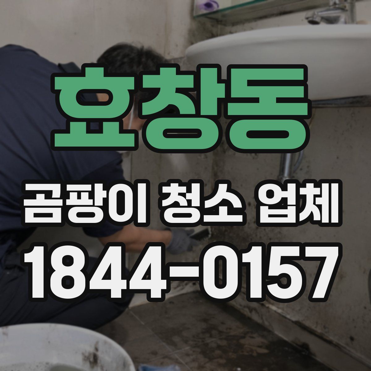 효창동 곰팡이 청소 업체