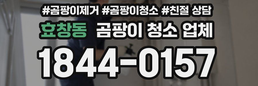 효창동 곰팡이 청소 업체