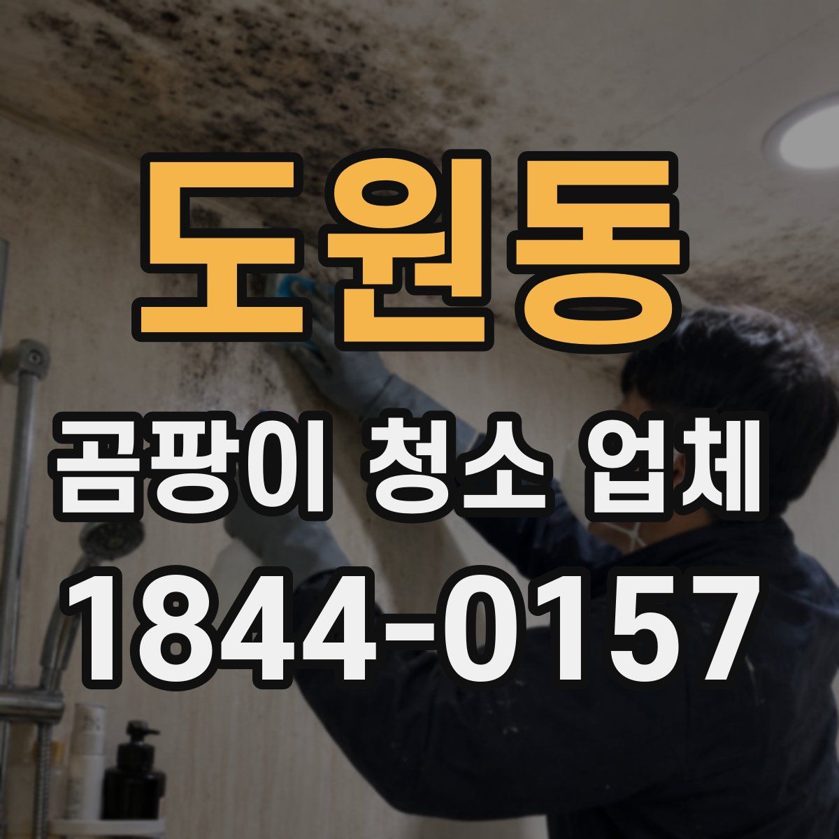 도원동 곰팡이 청소 업체