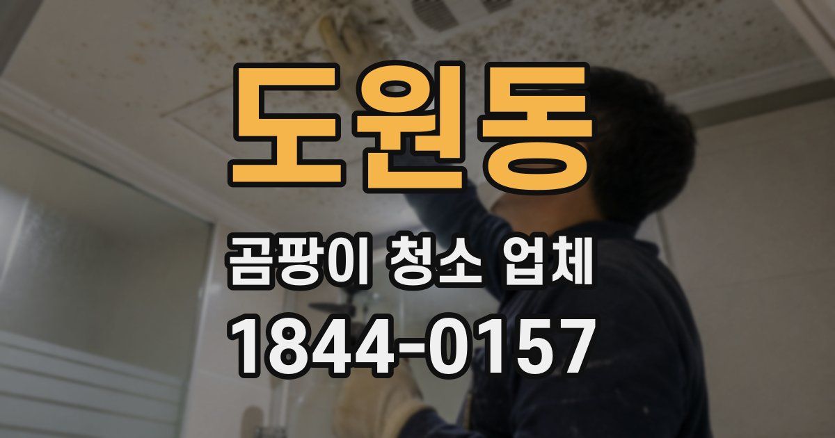 도원동 곰팡이 청소 업체