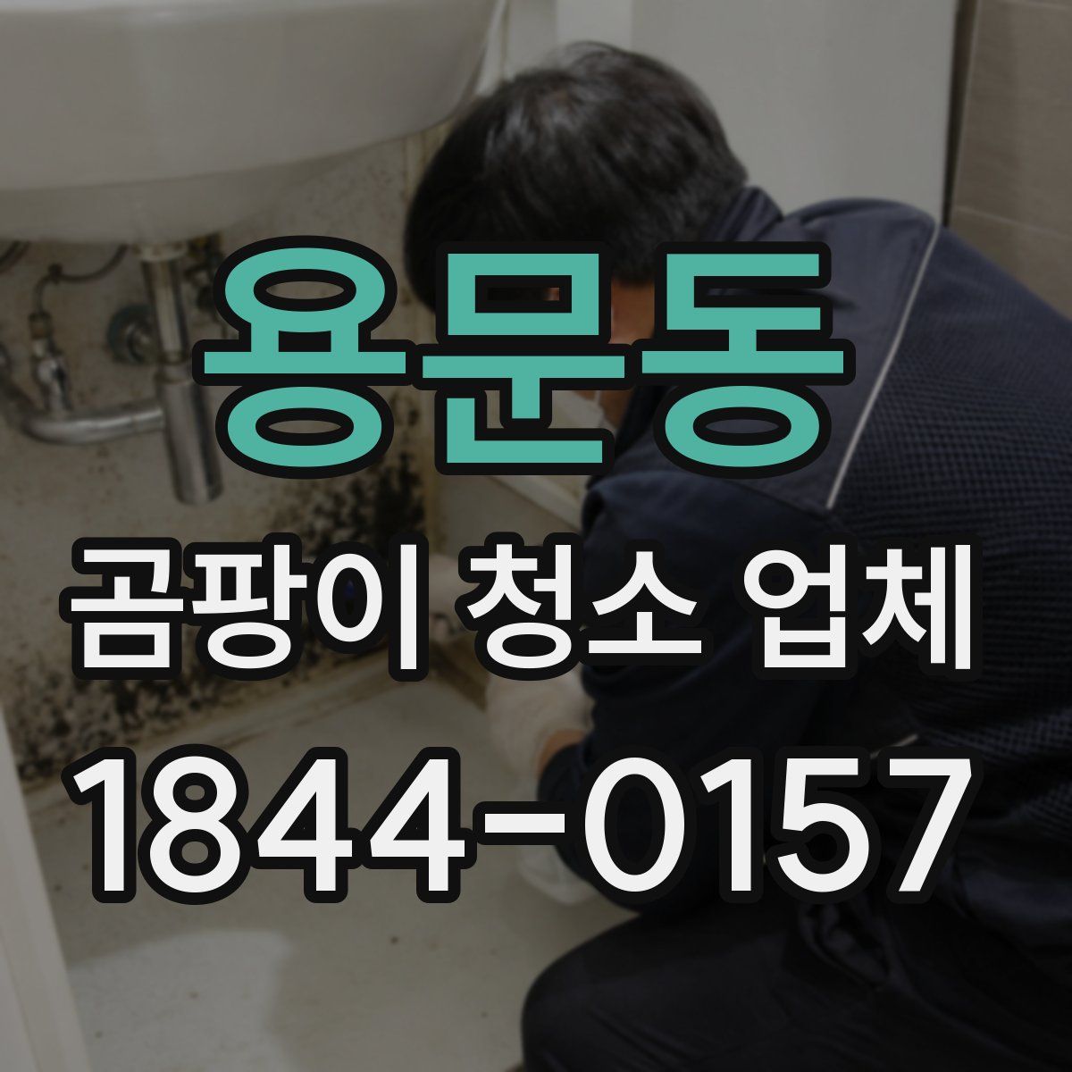 용문동 곰팡이 청소 업체