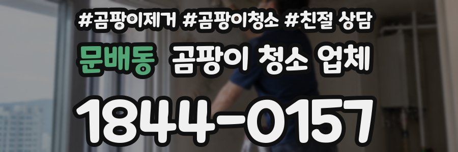 문배동 곰팡이 청소 업체