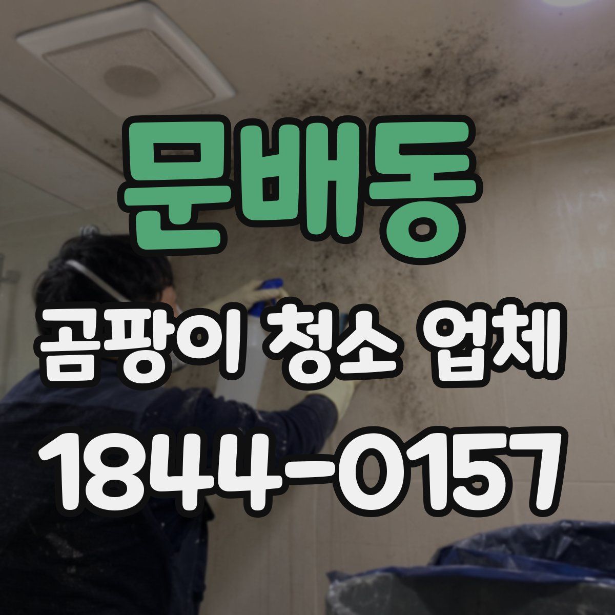 문배동 곰팡이 청소 업체