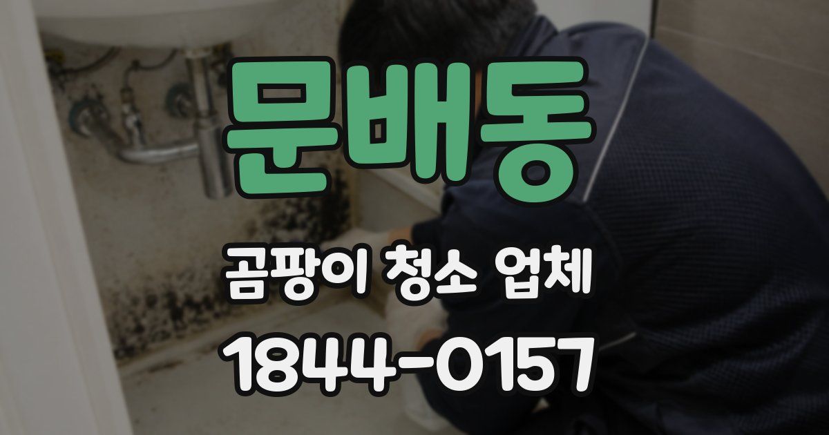 문배동 곰팡이 청소 업체