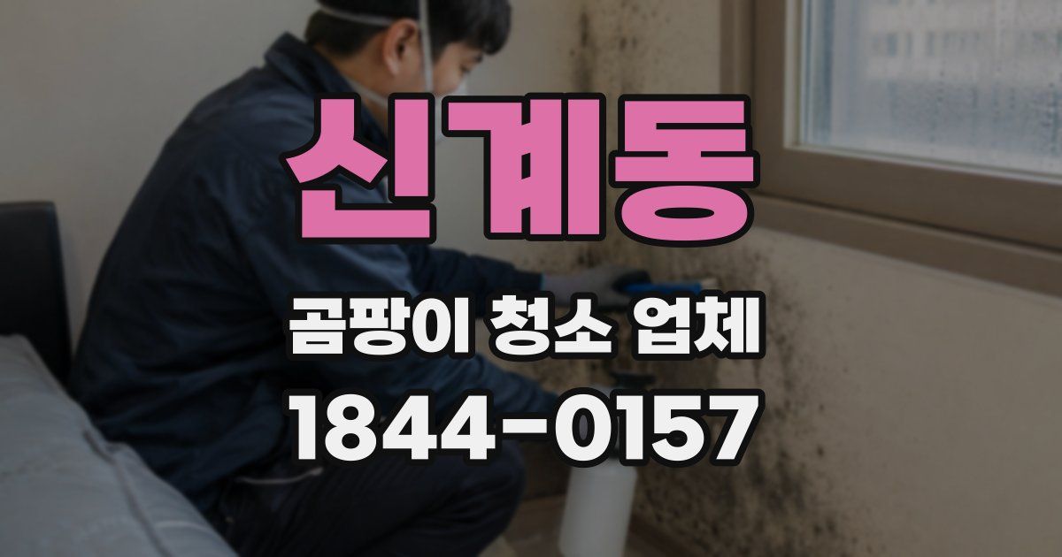 신계동 곰팡이 청소 업체
