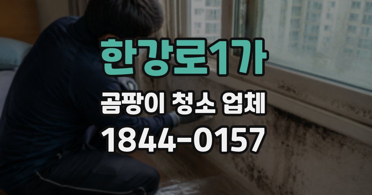 한강로1가 곰팡이 청소 업체