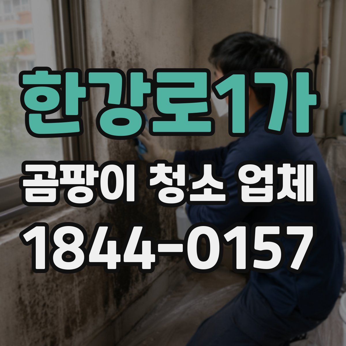 한강로1가 곰팡이 청소 업체