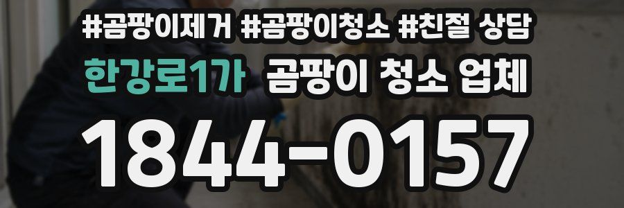 한강로1가 곰팡이 청소 업체