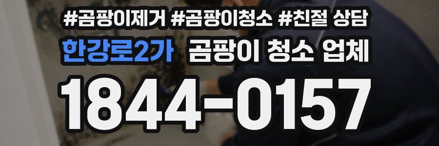 한강로2가 곰팡이 청소 업체