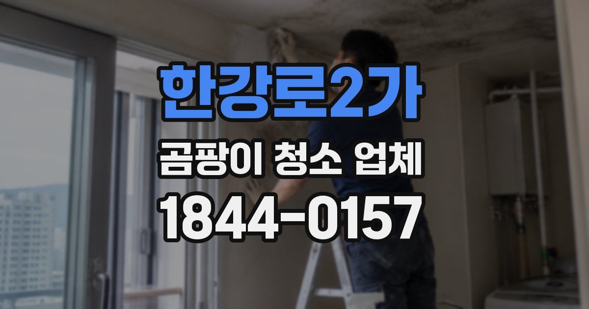 한강로2가 곰팡이 청소 업체