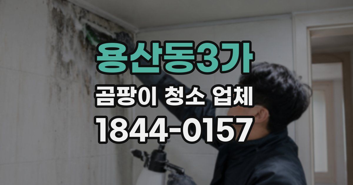 용산동3가 곰팡이 청소 업체