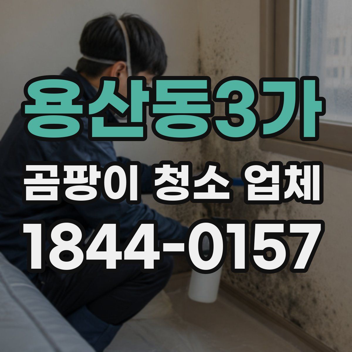 용산동3가 곰팡이 청소 업체