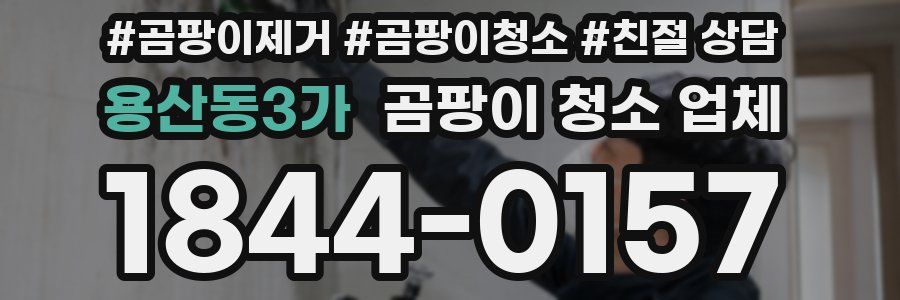 용산동3가 곰팡이 청소 업체