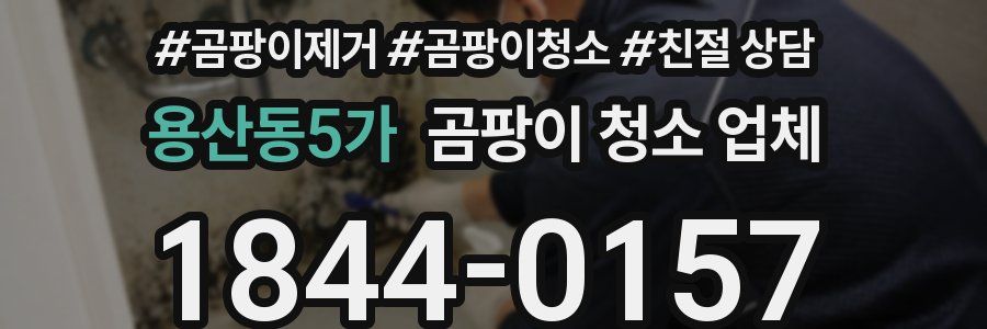 용산동5가 곰팡이 청소 업체