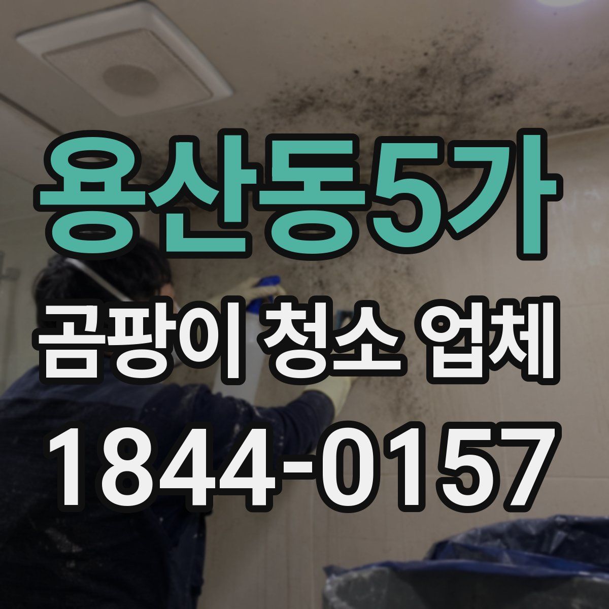 용산동5가 곰팡이 청소 업체