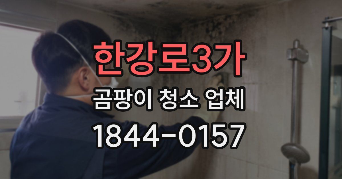 한강로3가 곰팡이 청소 업체