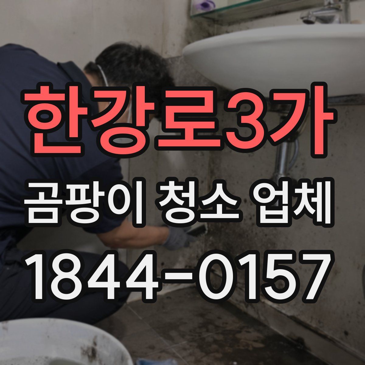 한강로3가 곰팡이 청소 업체