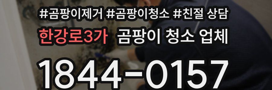 한강로3가 곰팡이 청소 업체