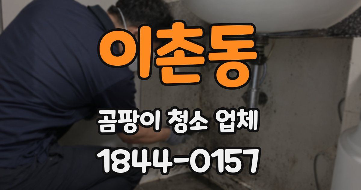 이촌동 곰팡이 청소 업체