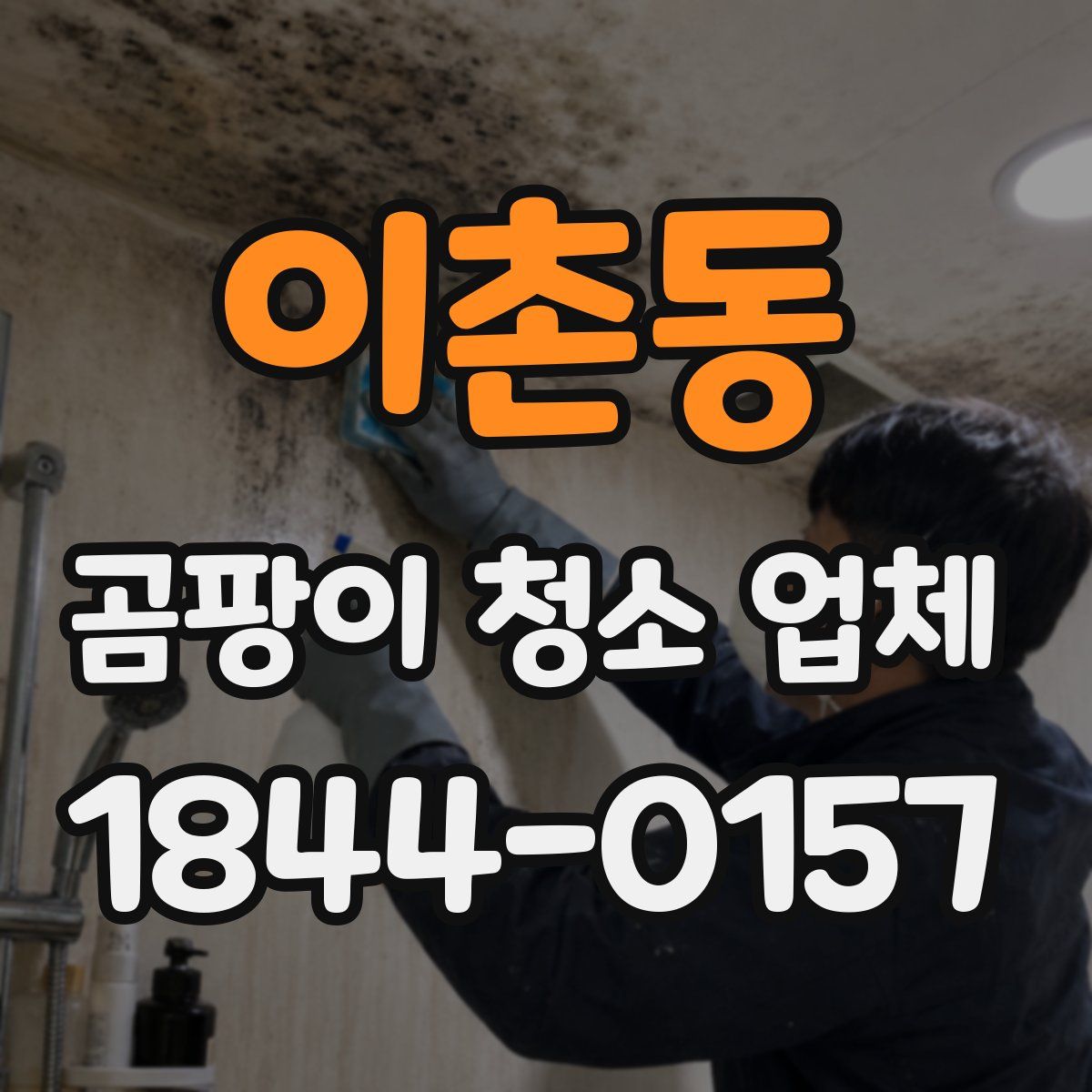 이촌동 곰팡이 청소 업체