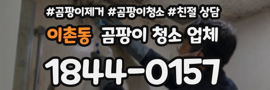 이촌동 곰팡이 청소 업체