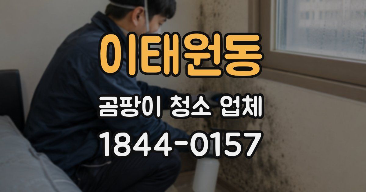 이태원동 곰팡이 청소 업체