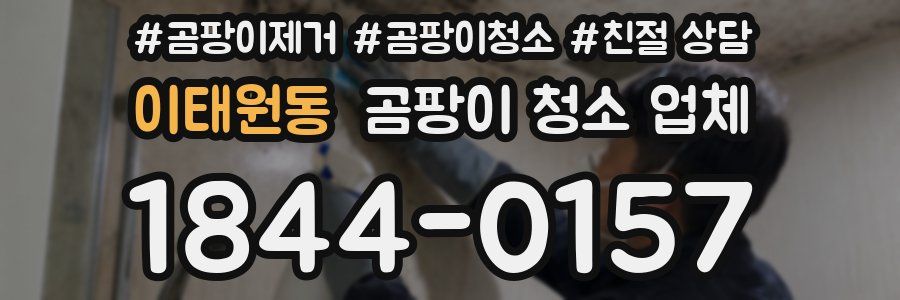 이태원동 곰팡이 청소 업체