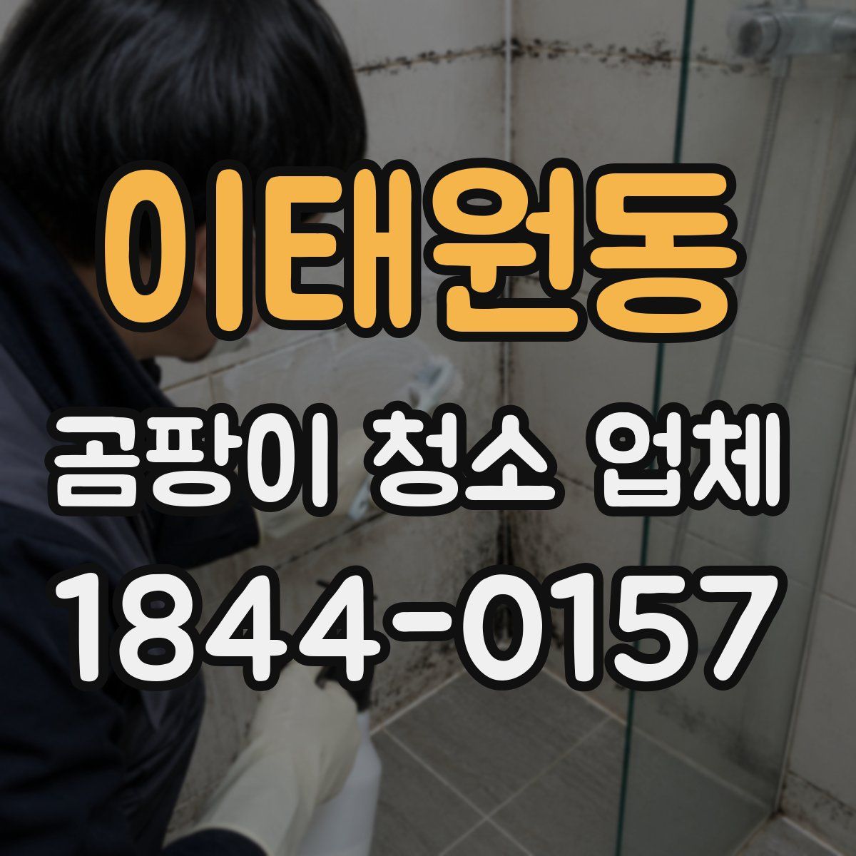 이태원동 곰팡이 청소 업체