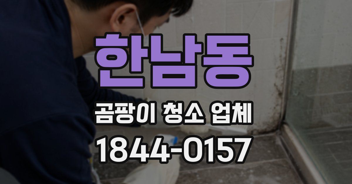 한남동 곰팡이 청소 업체