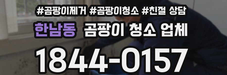 한남동 곰팡이 청소 업체
