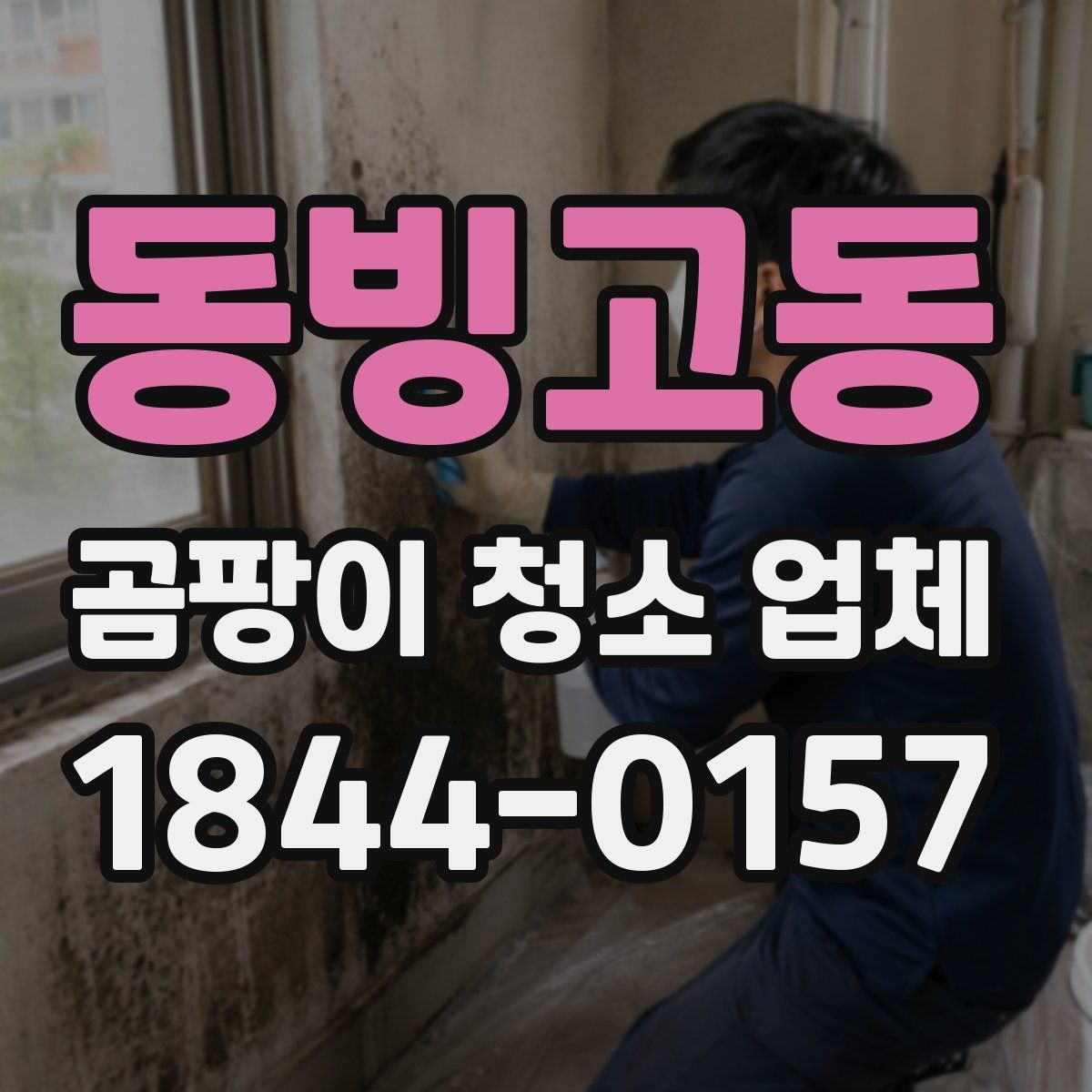 동빙고동 곰팡이 청소 업체