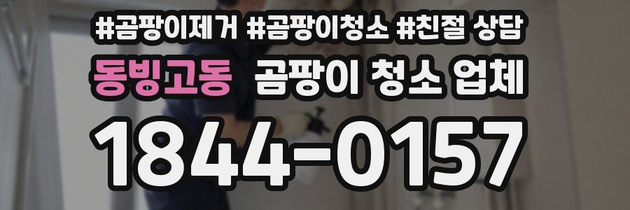동빙고동 곰팡이 청소 업체