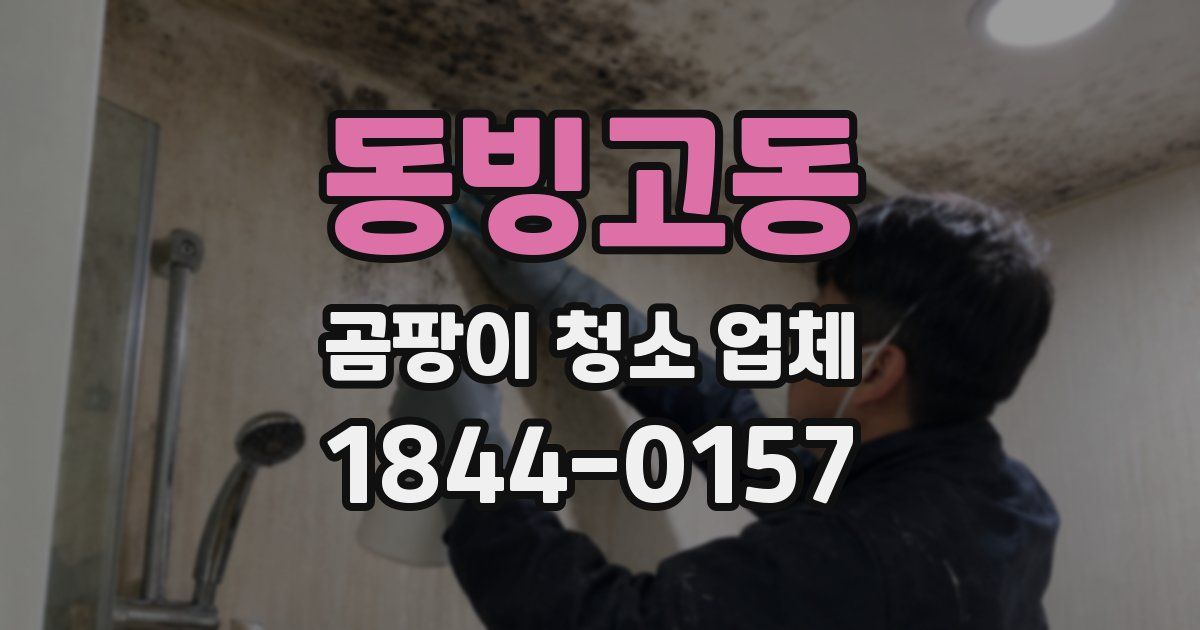 동빙고동 곰팡이 청소 업체