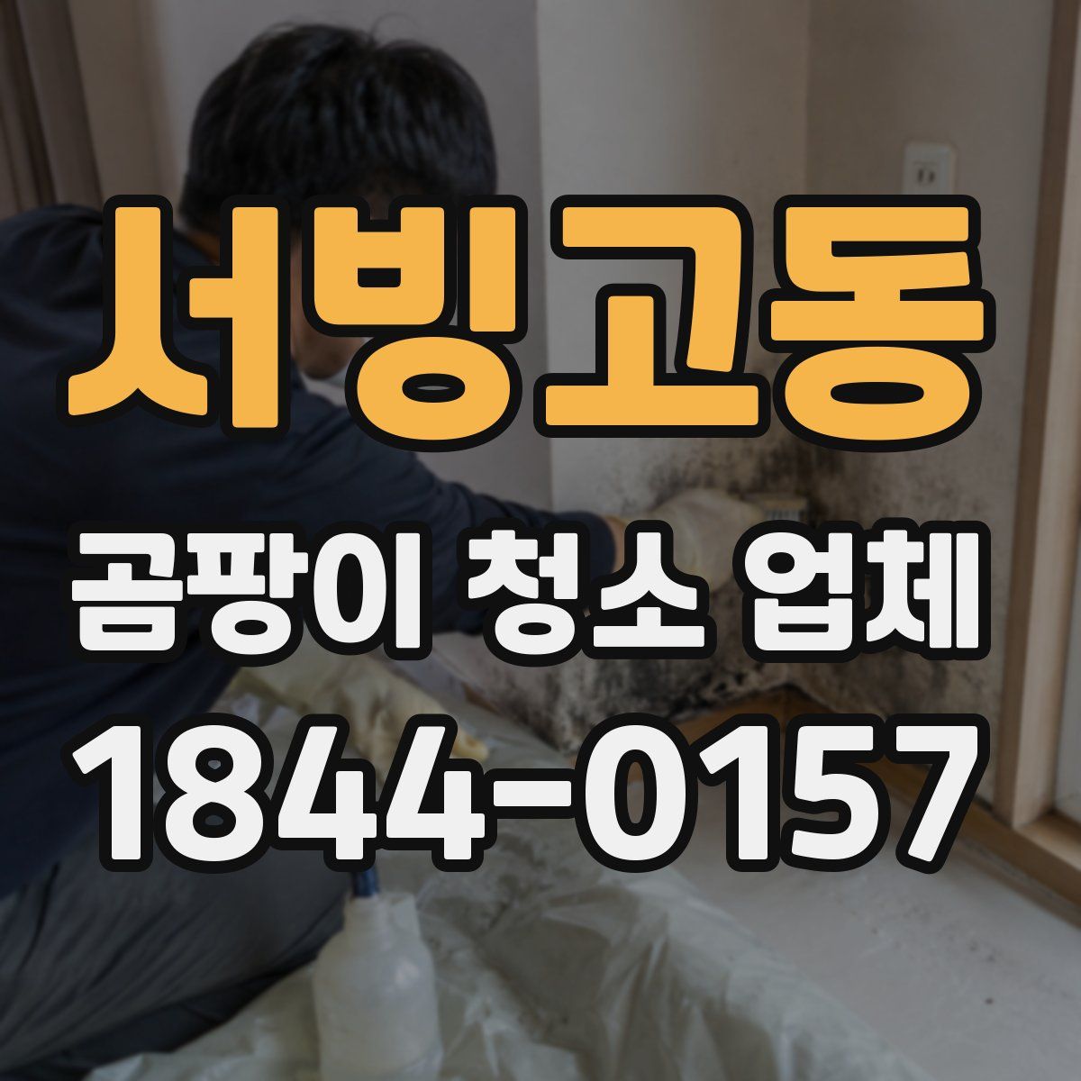 서빙고동 곰팡이 청소 업체