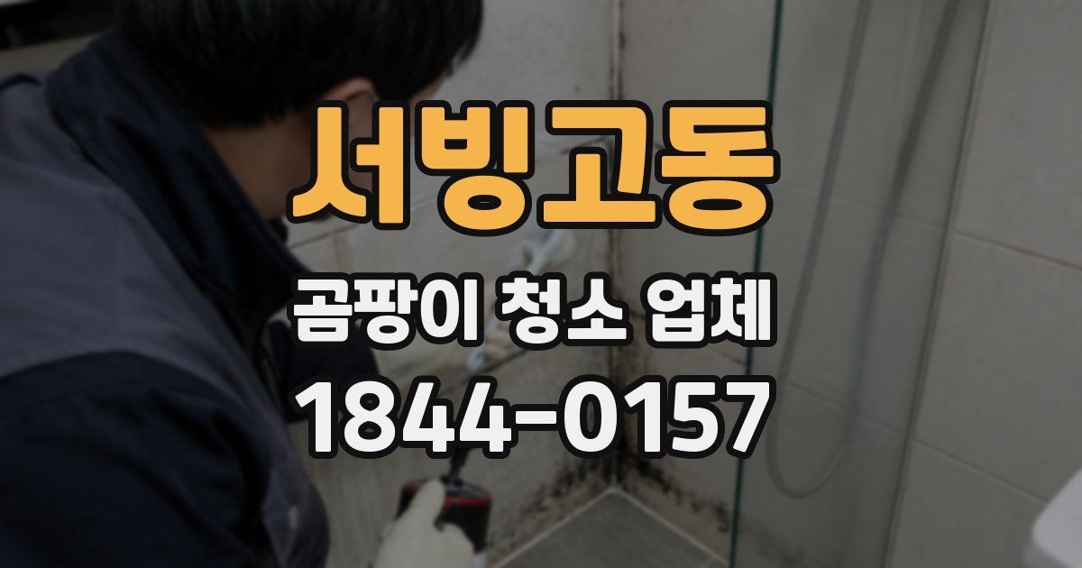 서빙고동 곰팡이 청소 업체