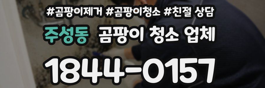 주성동 곰팡이 청소 업체