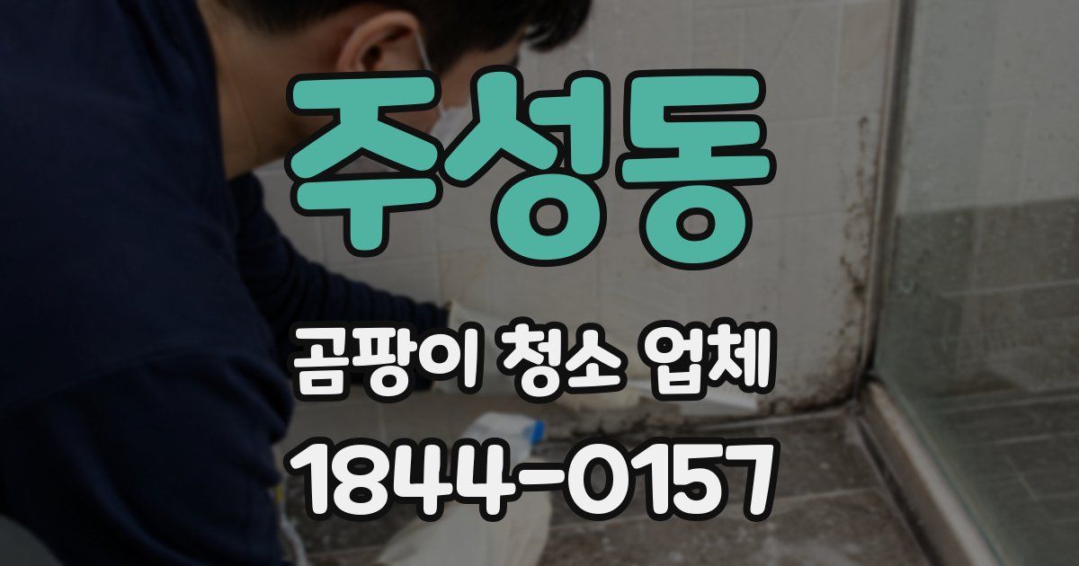 주성동 곰팡이 청소 업체