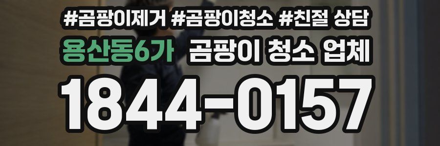 용산동6가 곰팡이 청소 업체