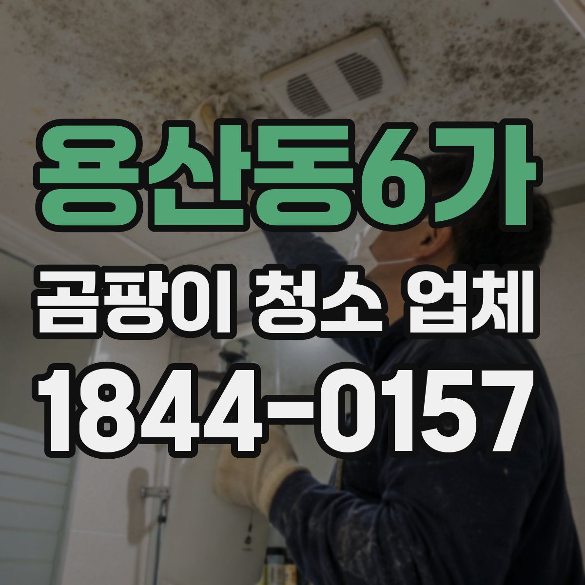 용산동6가 곰팡이 청소 업체