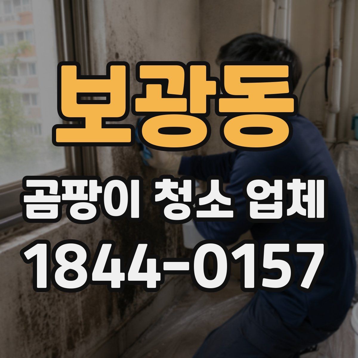 보광동 곰팡이 청소 업체 선택 전 확인할 기준