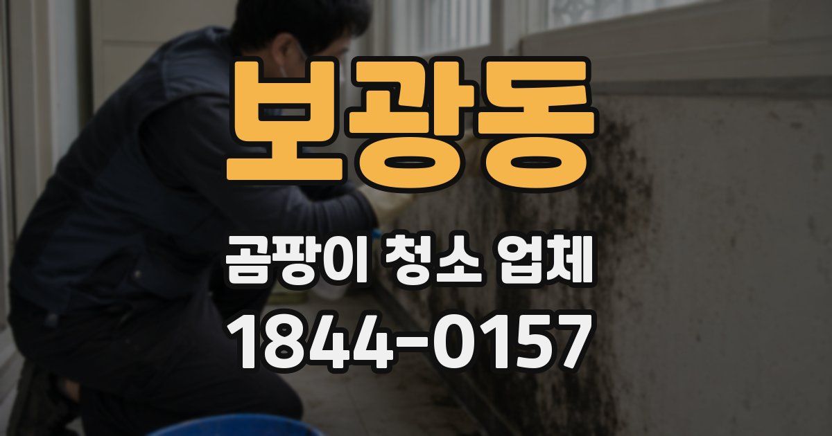 보광동 곰팡이 청소 업체