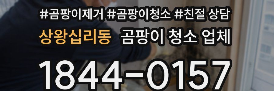 상왕십리동 곰팡이 청소 업체