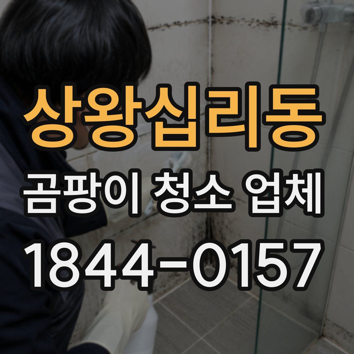 상왕십리동 곰팡이 청소 업체