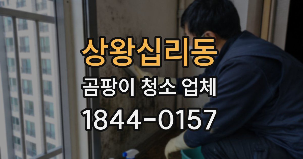 상왕십리동 곰팡이 청소 업체