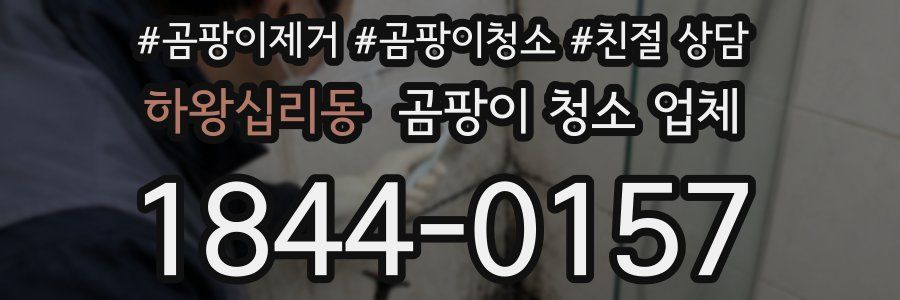 하왕십리동 곰팡이 청소 업체
