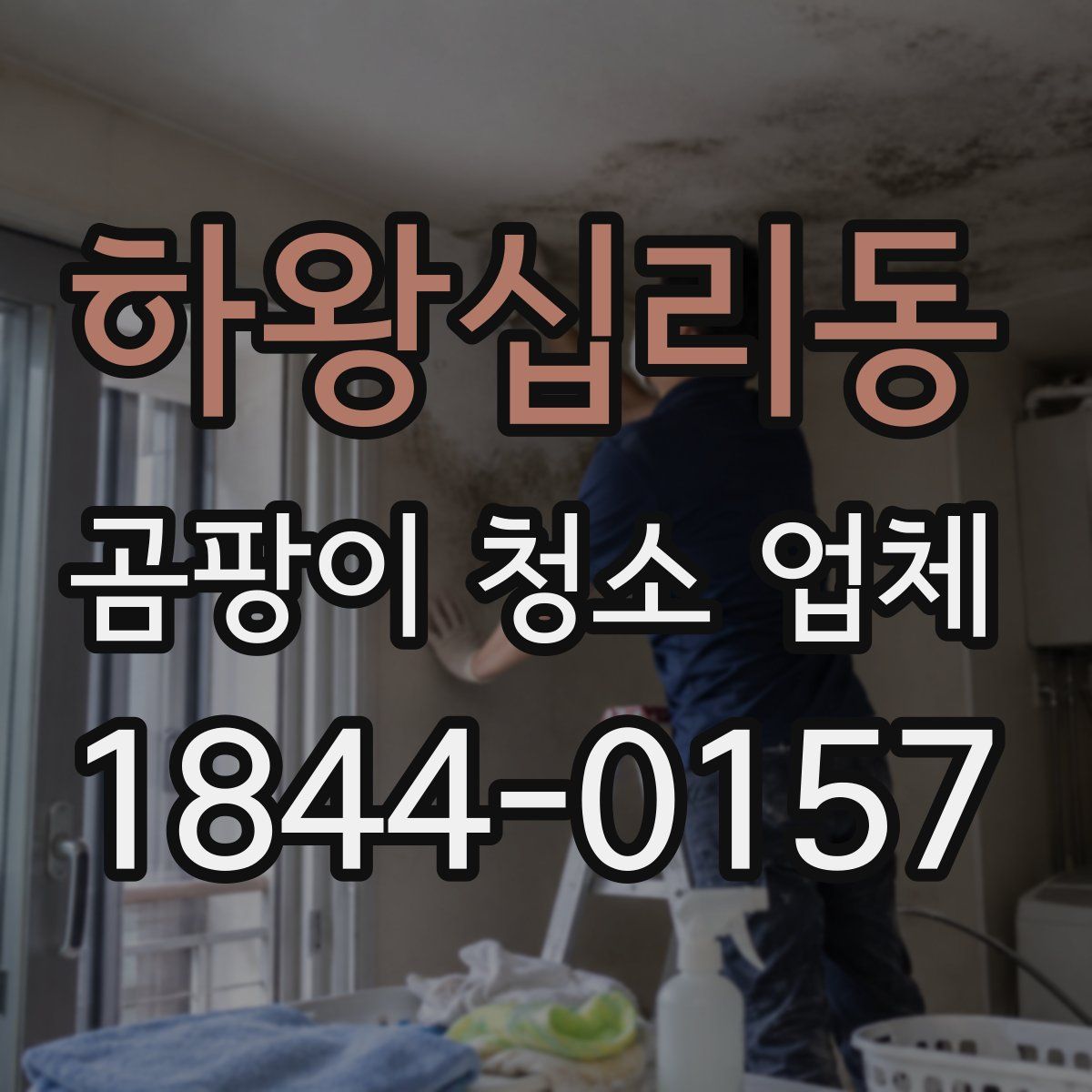 하왕십리동 곰팡이 청소 업체