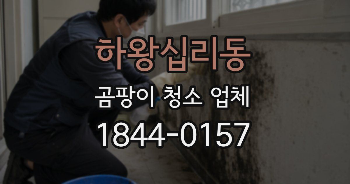 하왕십리동 곰팡이 청소 업체