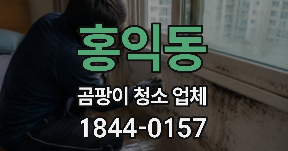 홍익동 곰팡이 청소 업체